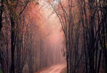 天涯论坛娱乐八卦景甜新鲜事。