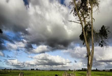 天涯神贴十大排名盘点：那些年我们追过的经典帖子